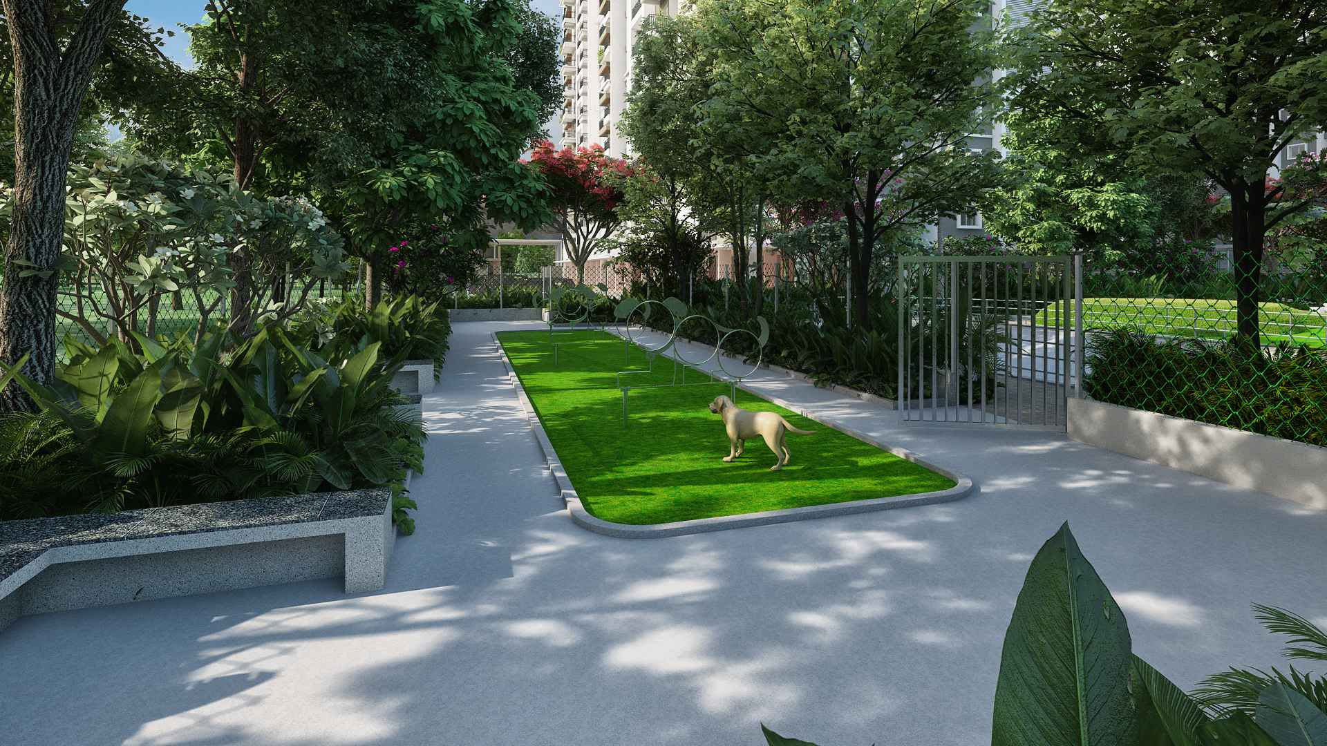 Ankuraa Meridian 4